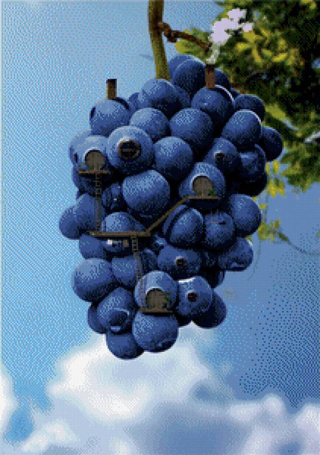 фентези-домик из винограда - фентези, домик, виноград, фрукты, красота - предпросмотр