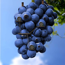 Оригинал схемы вышивки «фентези-домик из винограда» (№501790)