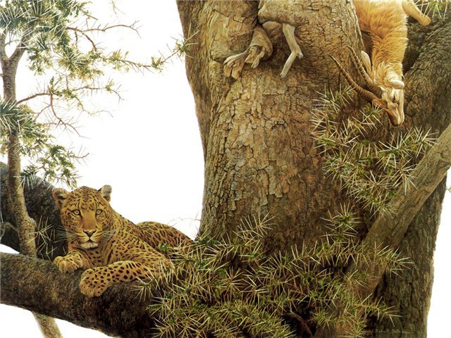 После охоты - охота, леопард, природа, кошки, кот, животные, картина - оригинал