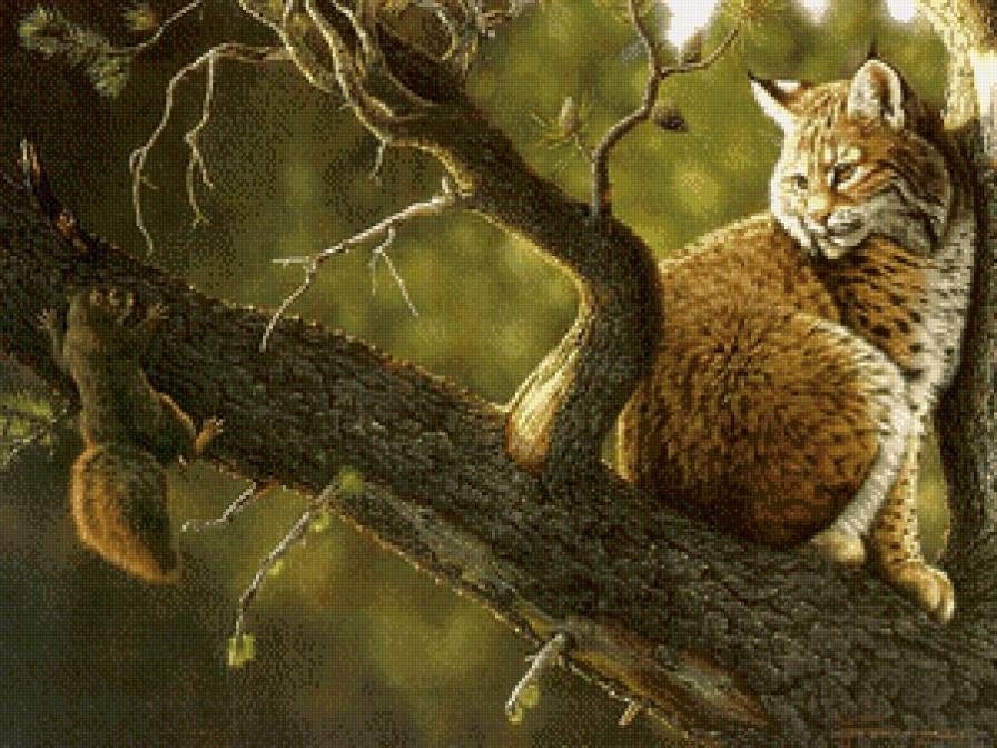 Рысь и белка - картина, природа, животные - предпросмотр