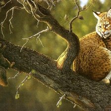 Схема вышивки «Рысь и белка»