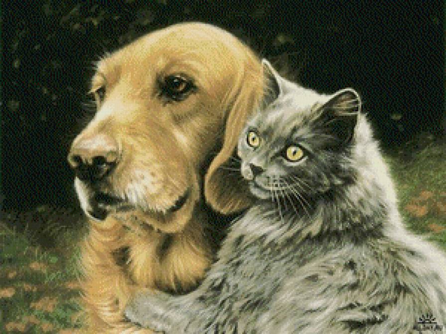 друзья - собака, дружба, животные, кошка - предпросмотр