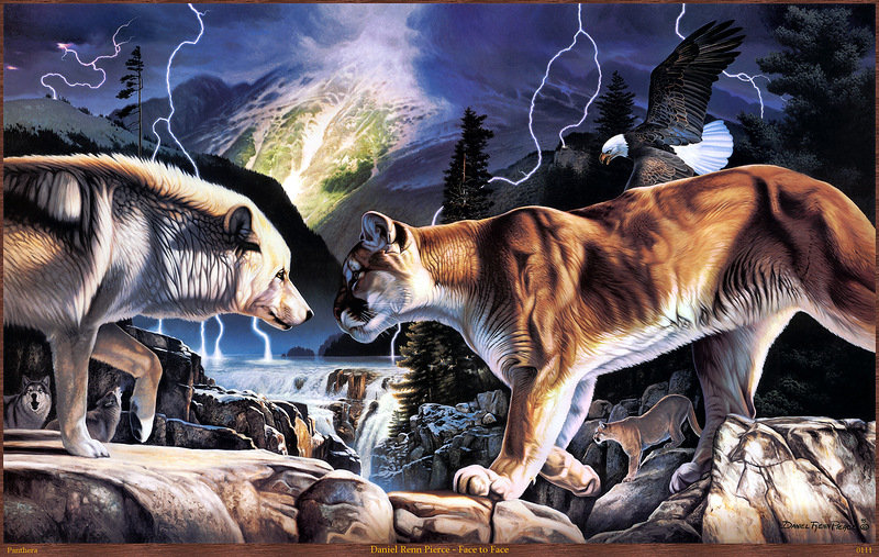 Северное противостояние - кошки, птицы, пумы, пейзаж, река, орлы, горы, волки, животные - оригинал