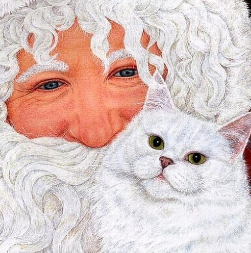Дед Мороз и кот - мужчина, животные, люди, кошки, дед мороз - оригинал