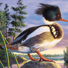 Схема вышивки «картина»