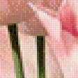Предпросмотр схемы вышивки «весенние цветы» (№502433)