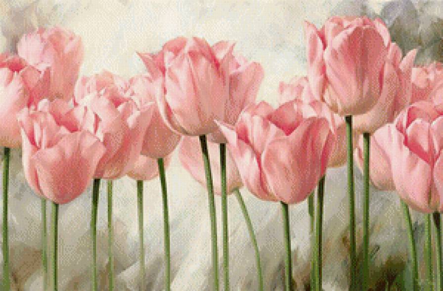 весенние цветы - розовые цветы, тюльпан, весенние цветы, тюльпаны - предпросмотр