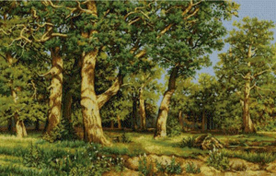 сосновый бор - лес, пейзаж - предпросмотр