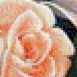 Предпросмотр схемы вышивки «Букет роз» (№502483)