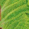 Предпросмотр схемы вышивки «фенези-домик из капусты» (№502549)