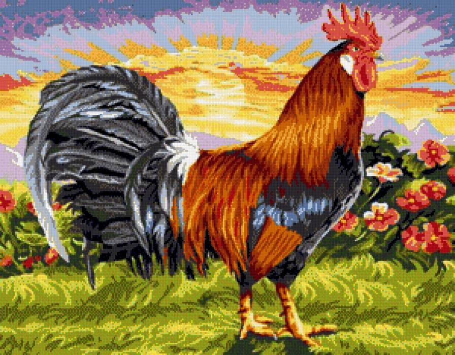 Петя - предпросмотр