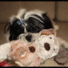 Схема вышивки «№502797»