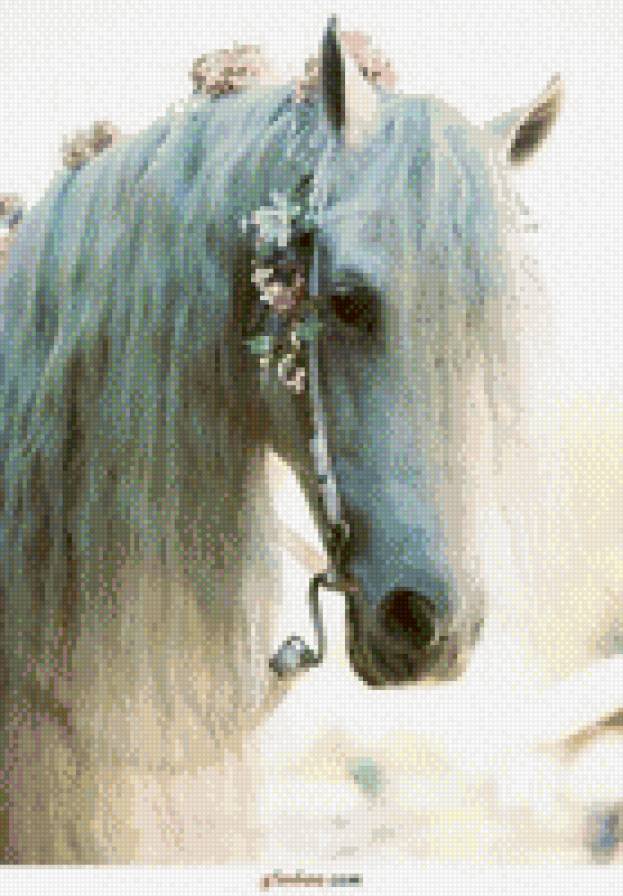 белая лошадь - животные, лошади - предпросмотр