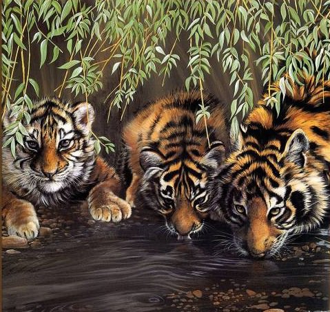 тигры у реки - оригинал