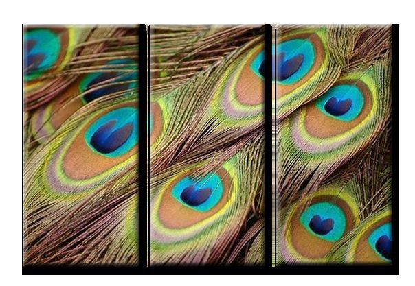 триптих павлиньи перья - перья, павлин - оригинал