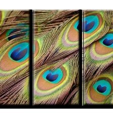 Схема вышивки «триптих павлиньи перья»
