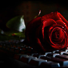 Схема вышивки «роза»