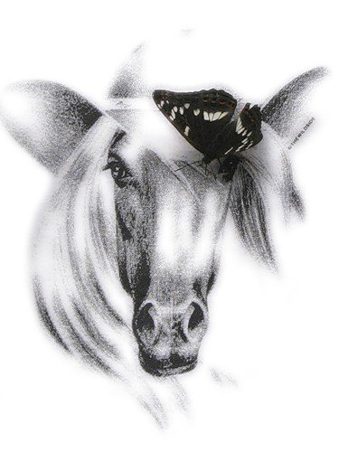 Лошадка - оригинал