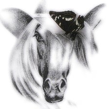 Схема вышивки «Лошадка»