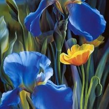 Схема вышивки «ирисы»