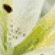 Предпросмотр схемы вышивки «триптих белая лилия» (№503562)