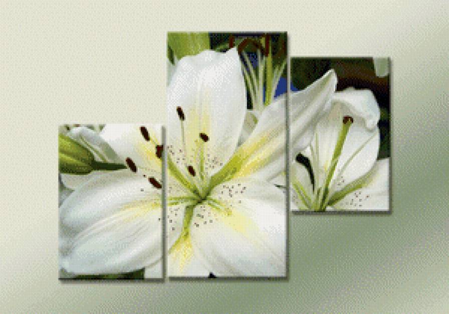 триптих белая лилия - цветок, триптих, лилия, красота - предпросмотр