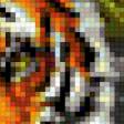 Предпросмотр схемы вышивки «тигры» (№503622)