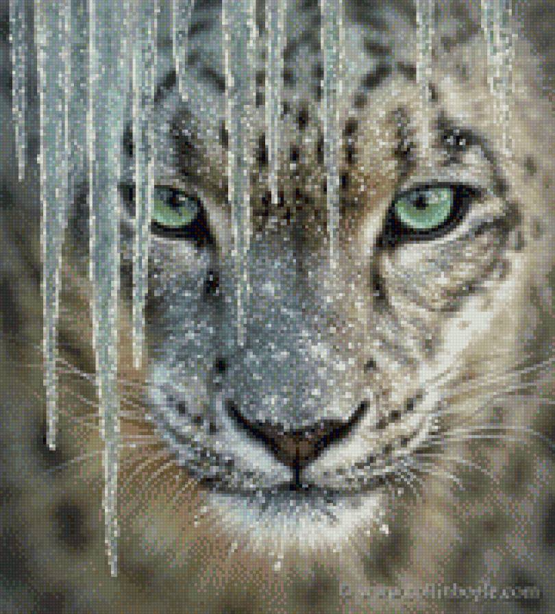 №503684 - предпросмотр