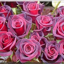 Схема вышивки «№503732»