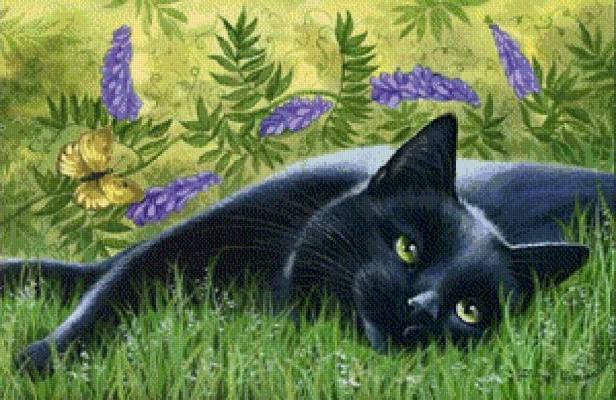 кошка в траве - животные. кошки.цветы.трава - предпросмотр