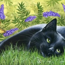 кошка в траве