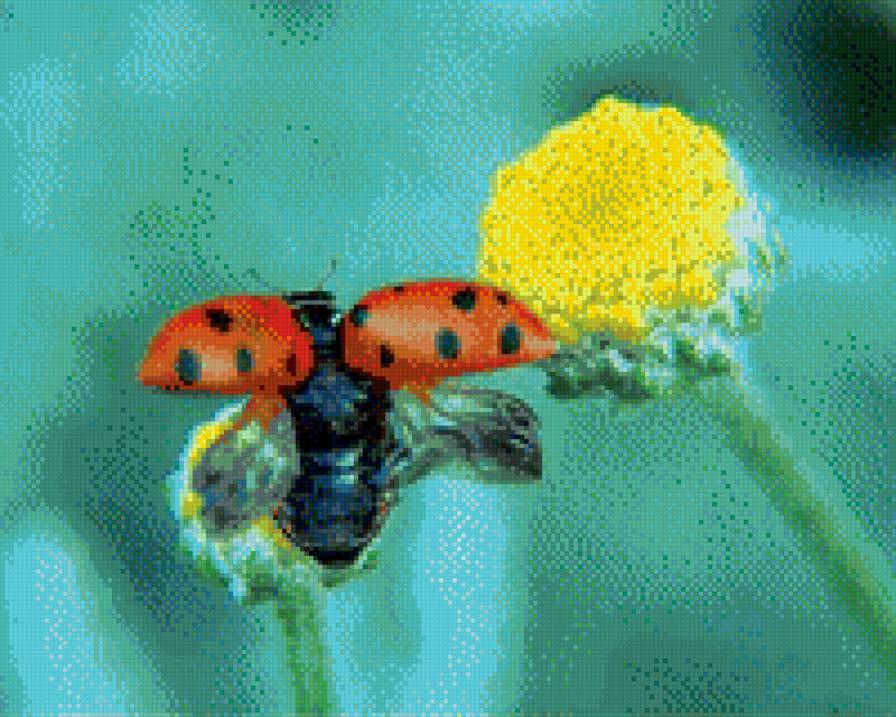 Взлет - насекомые - предпросмотр