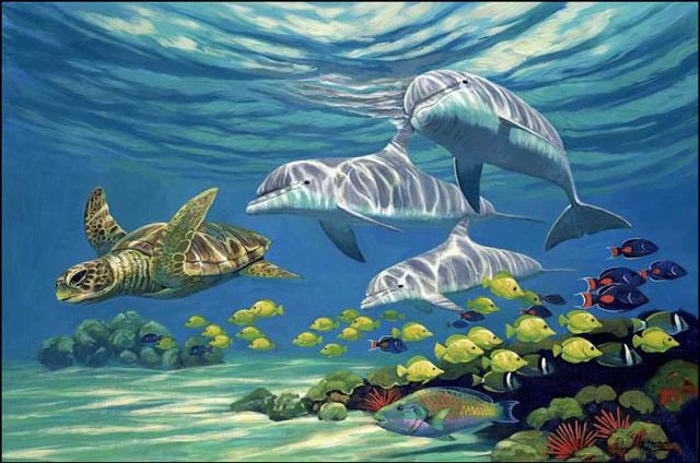 дельфины - вода, море, рыбы - оригинал