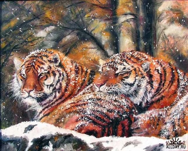 тигры - тигр, животные, тигры, зима, пара - оригинал