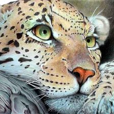 Схема вышивки «киса»