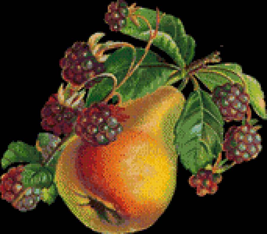 Груша с ежевикой - груша, фрукты - предпросмотр