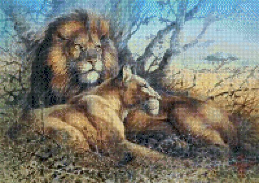 львы - предпросмотр