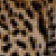 Предпросмотр схемы вышивки «леопард» (№504458)