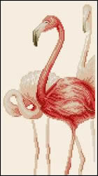 фламинго - птицы - оригинал