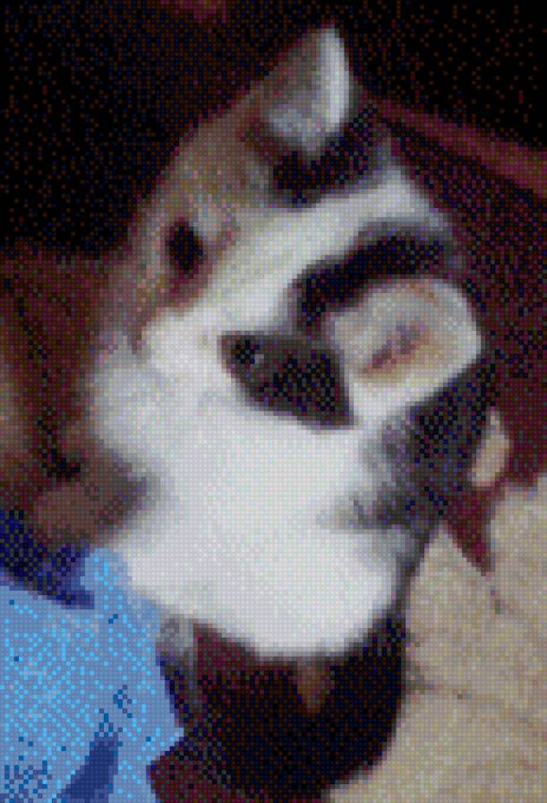 Хитомочка - предпросмотр