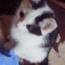 Схема вышивки «Хитомочка»