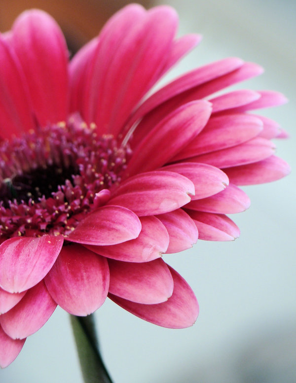 №504953 - оригинал