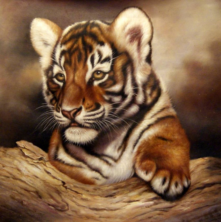 тигренок - кошки, животные, хищники, тигры - оригинал