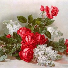 Схема вышивки «№505209»