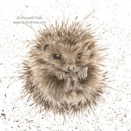 Awakening - оригинал