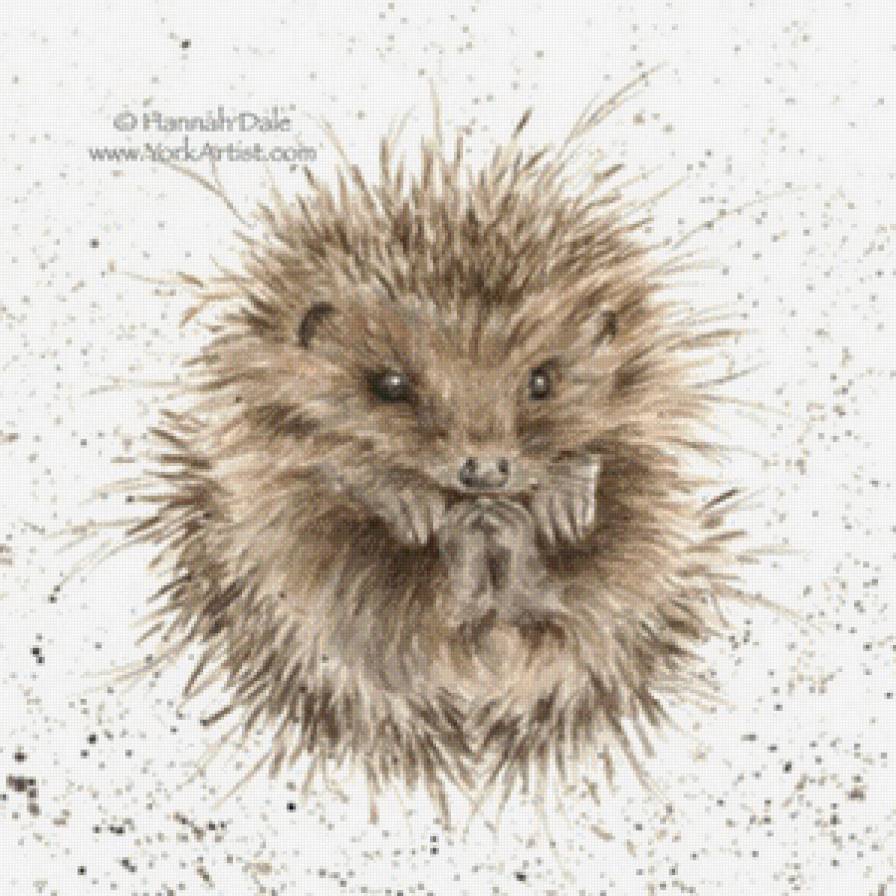 Awakening - предпросмотр