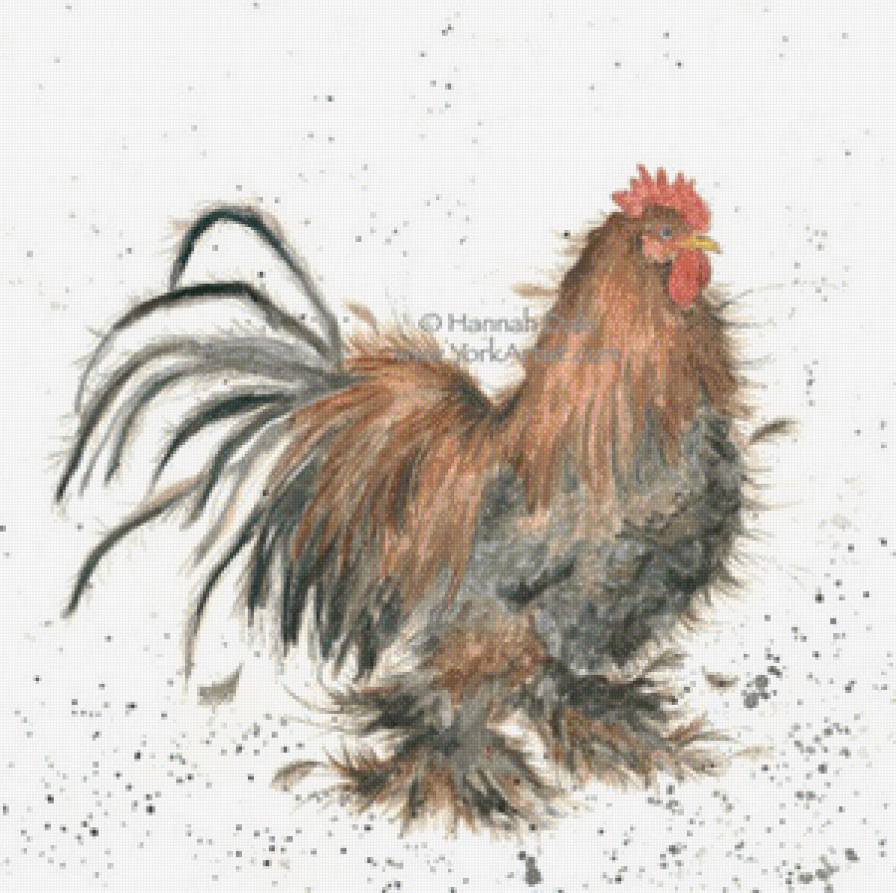 King of the Coop - предпросмотр