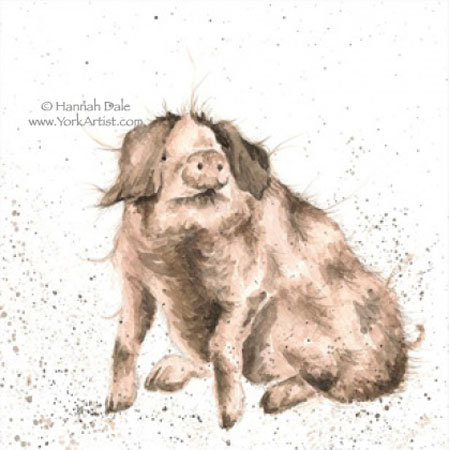 Lady Muck - оригинал