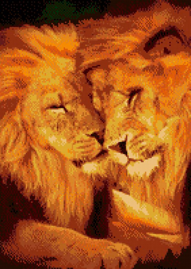 львы - предпросмотр