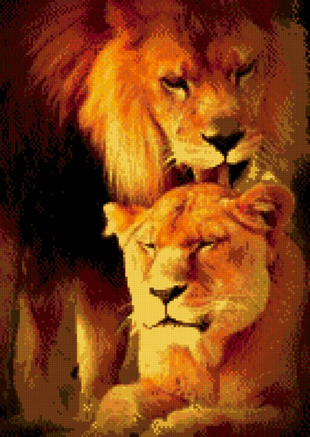 львы - предпросмотр